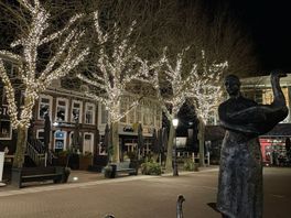'Allergische' bomen in Coevorden lijken gered van de kap: 'Ik weet niet of hij van een robbertje vechten houdt'