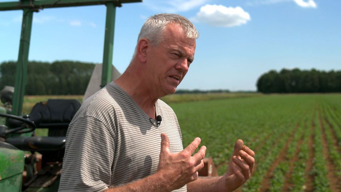 'Het ziet er beroerd uit als we onze eigen boontjes moeten doppen'