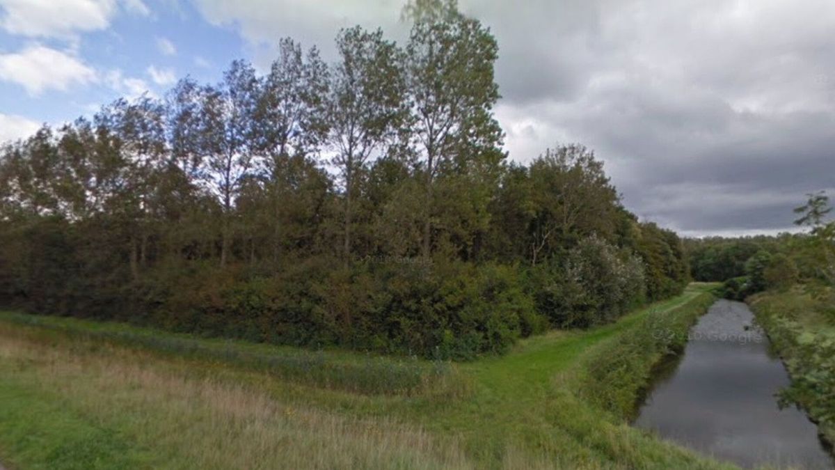 Noord-Beveland koopt Spuibos Kamperland voor speel- en belevingsbos