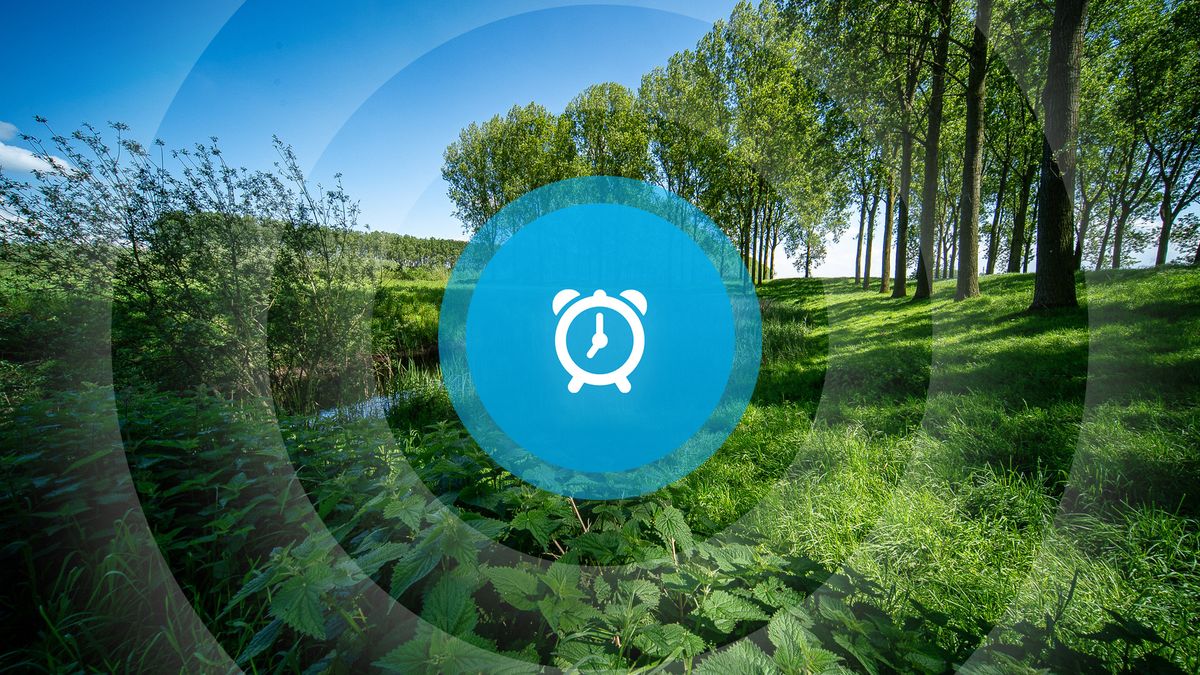 Goedemorgen! Nieuw bier, festivals en dode vogels aangespoeld