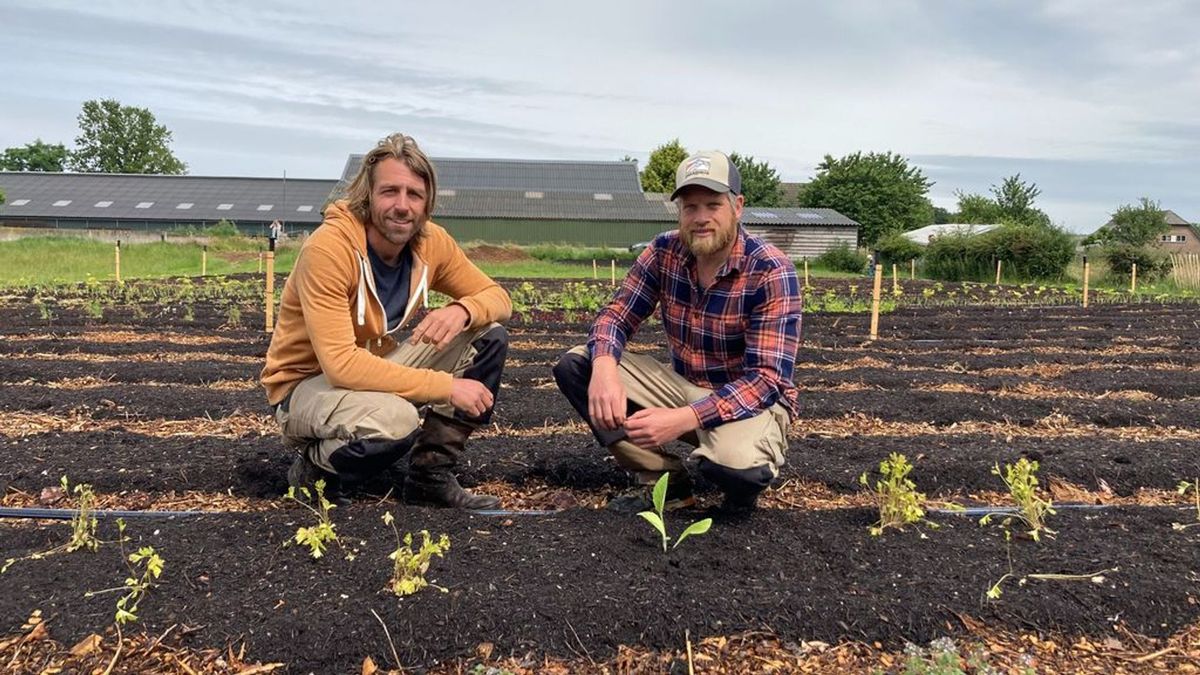Jaap en Niels beginnen boerderij: 'Vanaf 100 euro doe je mee'