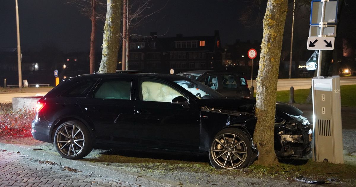 Drankrijder aangehouden na ongeval in Zwartsluis
