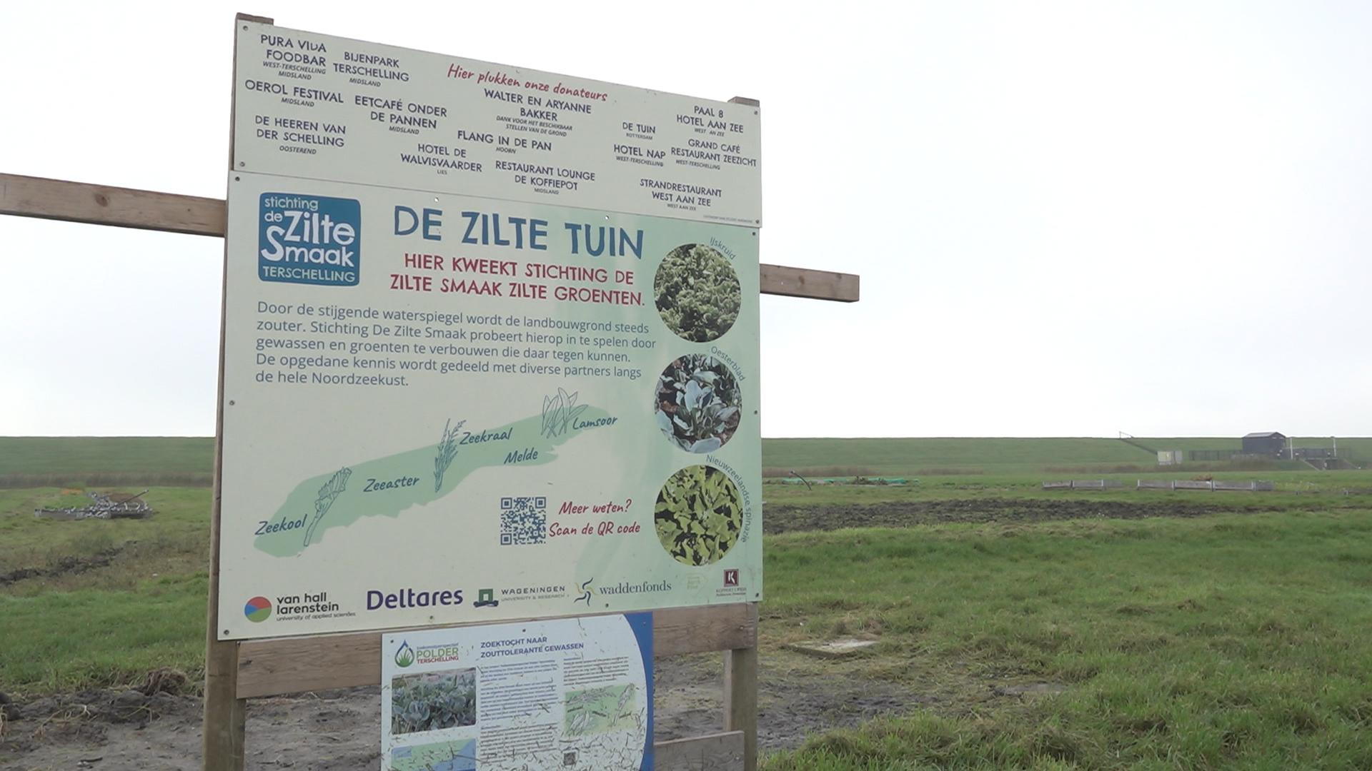 Hoe moeten we omgaan met een ziltere Waddenkust? "Zilte teelt, echt heerlijk"