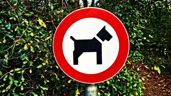 Hier mag je vanaf vandaag niet meer lopen met de hond