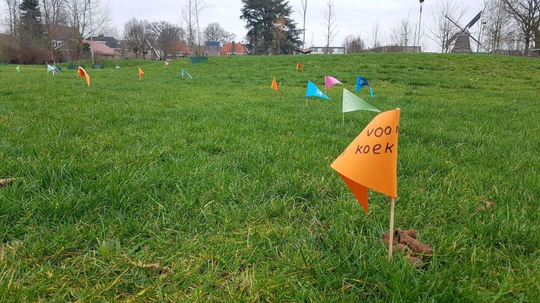 Er zijn al tweehonderd vlaggetjes in het park geplaatst (Rechten: RTV Drenthe)