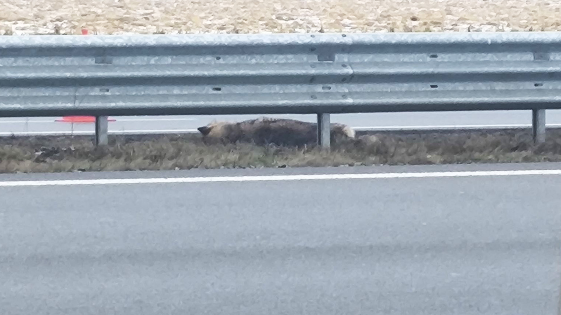 707cdb4f-de7d-3cf3-b72a-28c82647fad0.jpg?width=1104&height=620&aspect_ratio=1104:620&cb=04958a0a75b792e329b3a308df9479f4