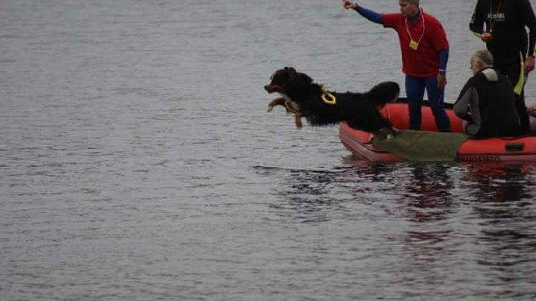 Op welk water kunnen wij met onze honden oefenen?