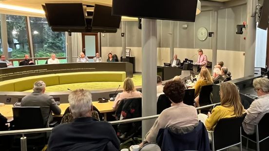 Coach moet Tielse politici helpen vertrouwen terug te krijgen