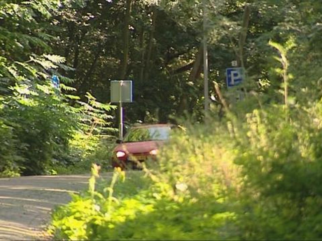 nkralingsebos14_09.cropresize.tmp.jpg