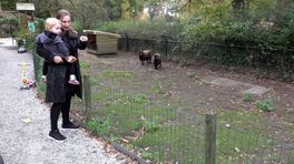 Onrust in Ermelo over sluiting dierenparkje, bezoekers starten petitie