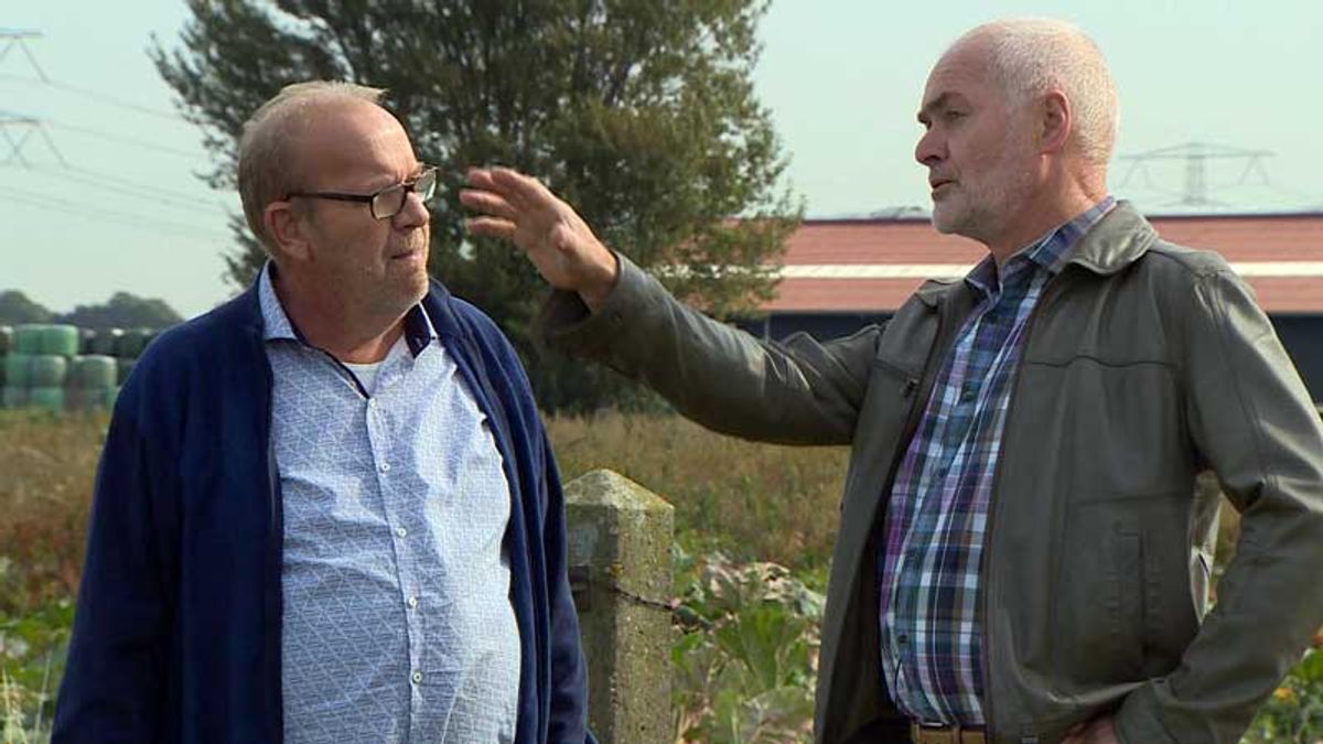 Geitenhouderij Mijnsheerenland op losse schroeven
