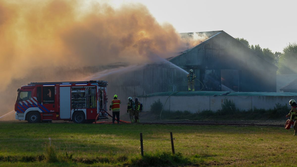Brandweer rukt met meerdere eenheden uit naar flinke stalbrand in Maarsbergen