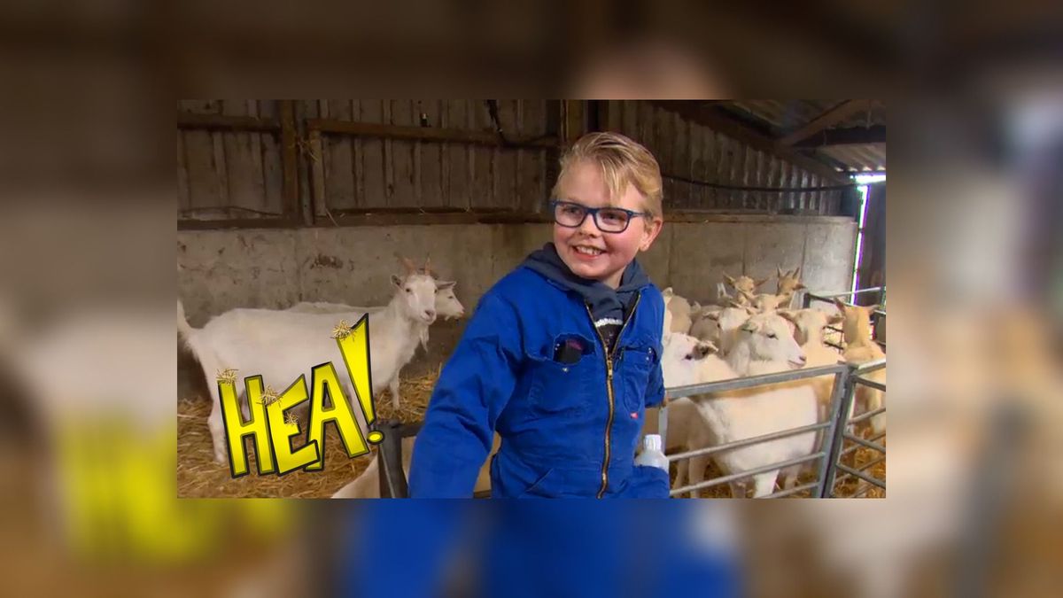 HEA! 'Buorkje' met Sjoerd (8)