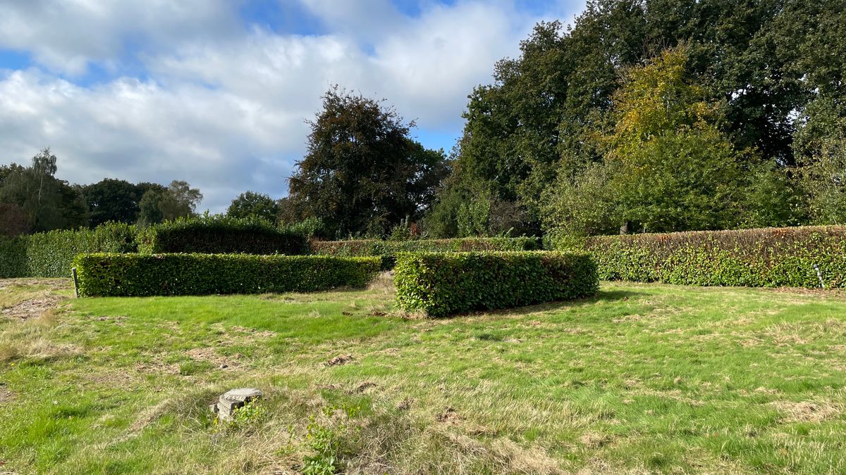 Projectontwikkelaars CapCabin houden opties open: 'Misschien wel recreatiepark in Drouwen?'