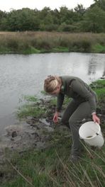 Waterpoeltjes in Drentsche Aa