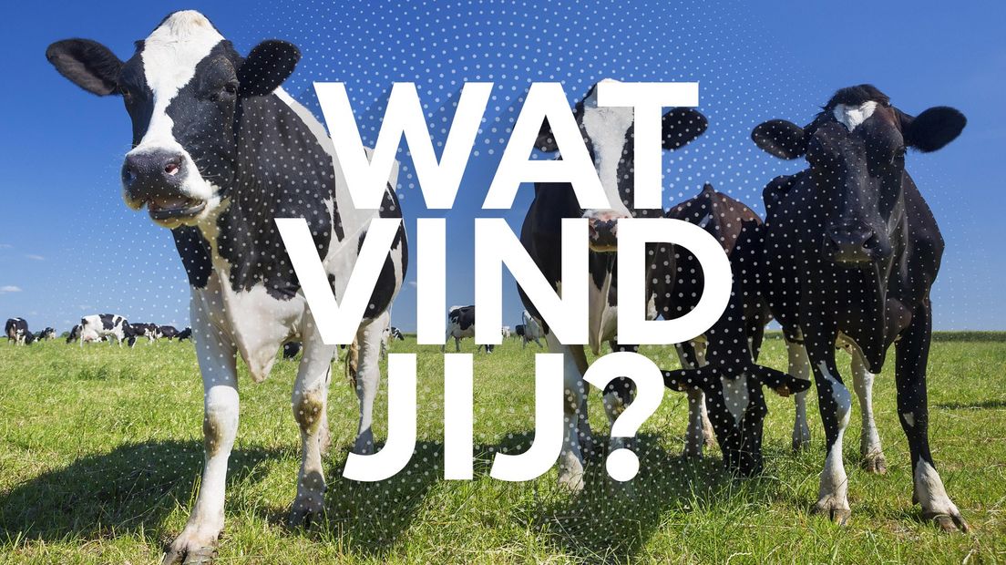 Wat vind jij?