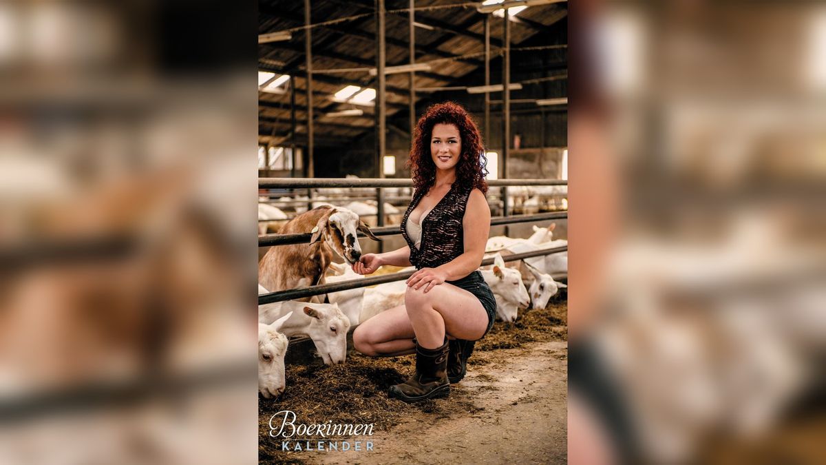 Zes Friese modellen op jubileumeditie van Boerinnen- en Boerenkalender