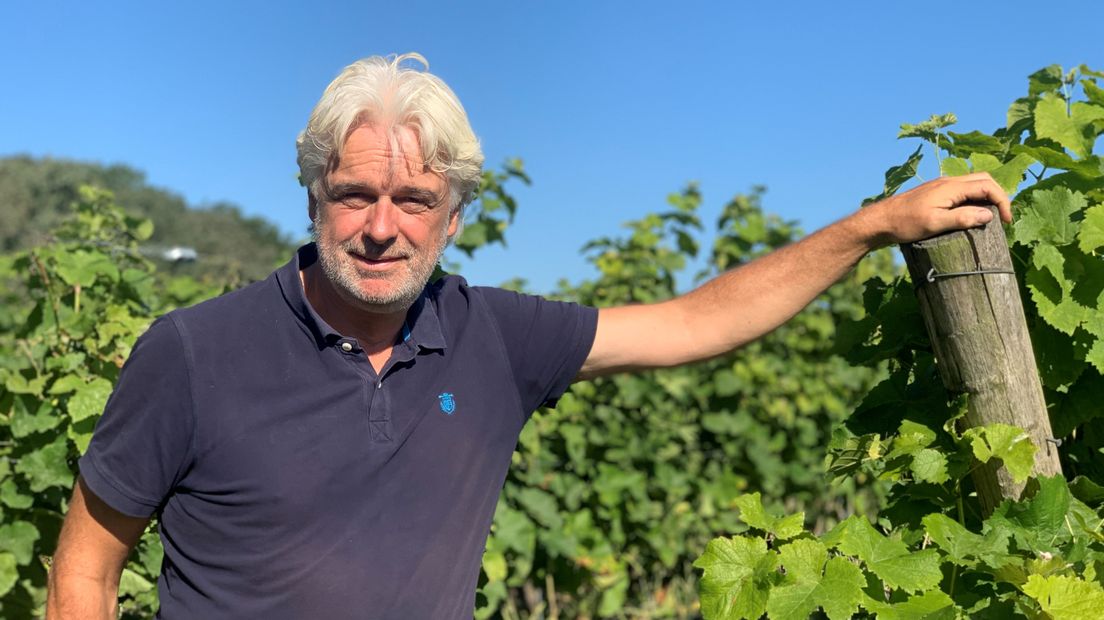 Roelof Visscher, eigenaar van wijngaard Hof van Twente