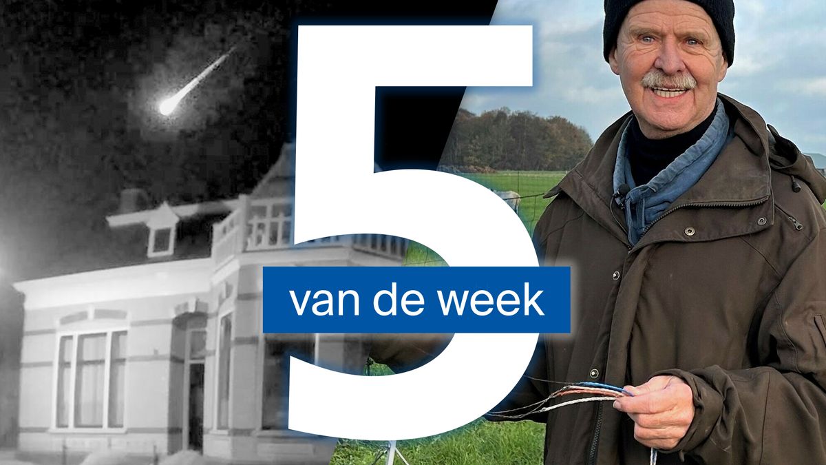 Doorbraak in bescherming tegen wolven en wat was die mysterieuze lichtbal in de lucht?