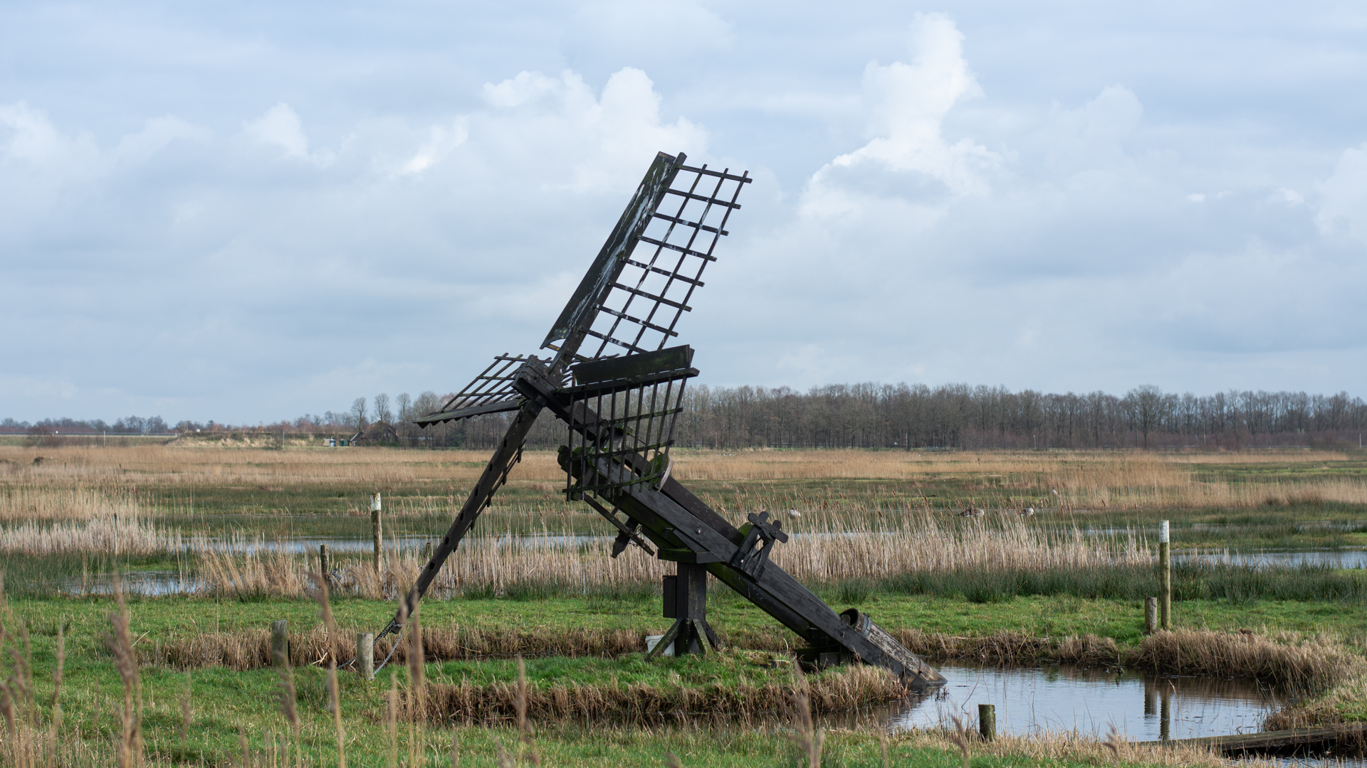 Moerasgebied De Houtwiel