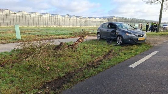 Boom omver gereden na botsing tussen twee autos in Maasbree. Boom omver gereden na botsing tussen twee autos in Maasbree.