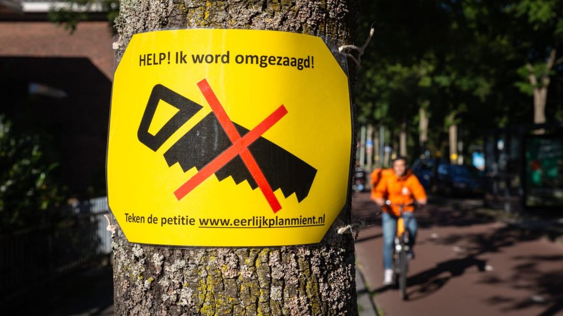 Bewoners zijn tegen het kappen van bomen op De Mient