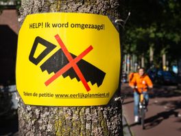 Actiegroep Eerlijk Plan Mient viert feest: nieuwe coalitie behoudt bomen