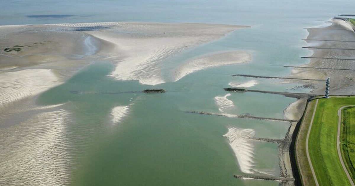 Kabinet eist uitbreiding natuur Westerschelde, maar bij de provincie staat 'de nul op de meter'