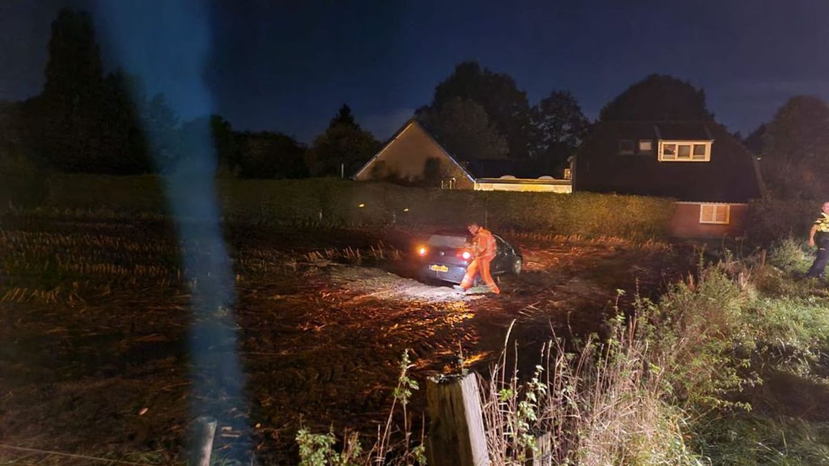 Het stucwerk is nog niet droog of de volgende auto staat bijna bij Hetty en Daan in de woonkamer