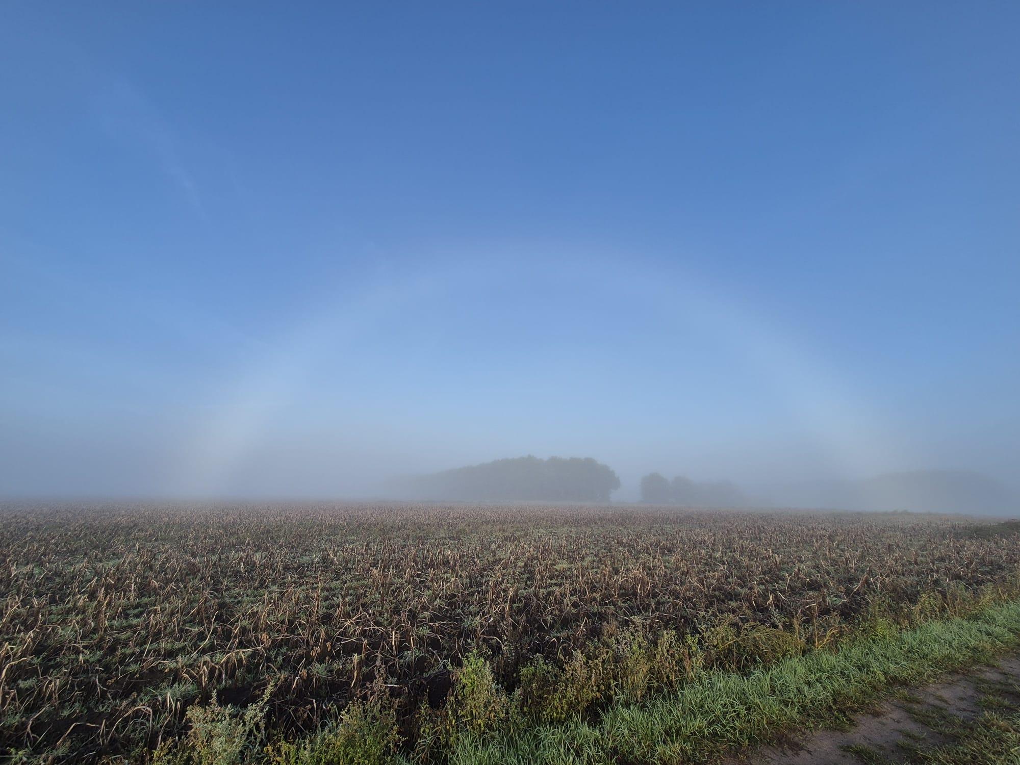 Een mistboog was te zien in Eext