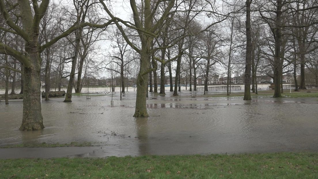 Het Deventer Worpplantsoen is door het hoge rivierwater grotendeels ondergelopen