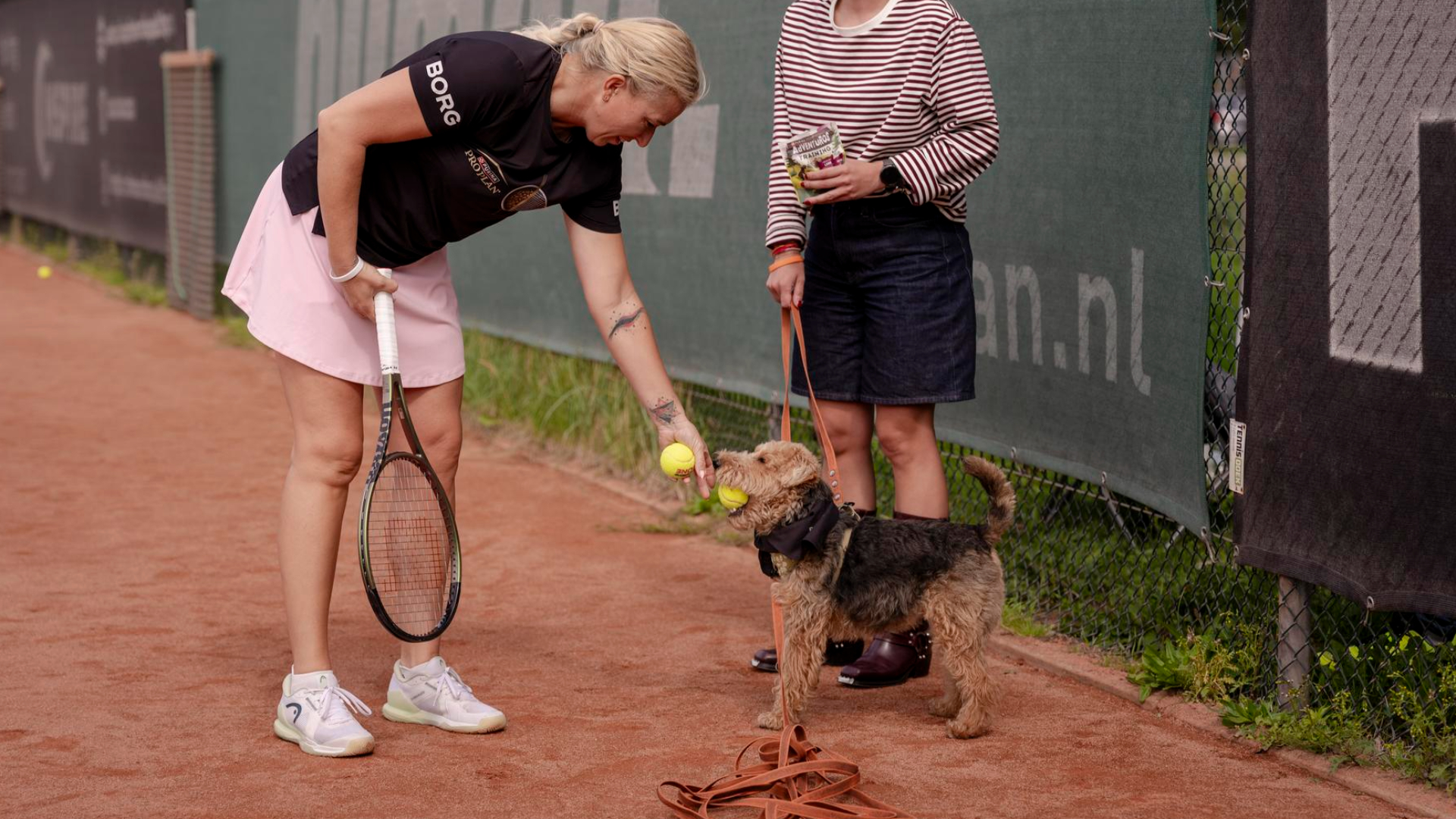Luna in actie als ballenhond