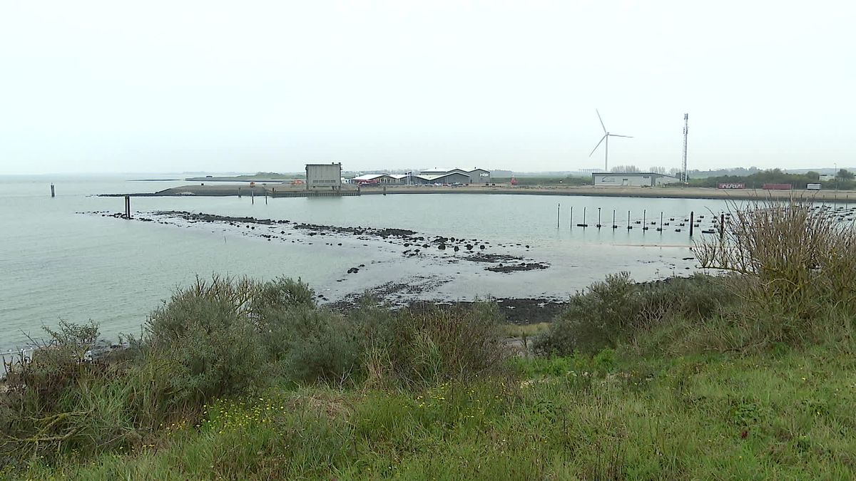 Nieuwe viskweker Zeeland