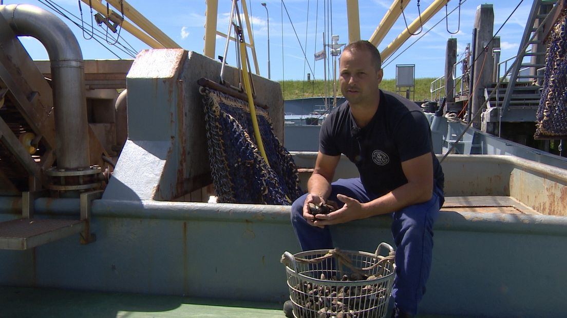 Mosselkweker Steketee trots op Zeeuws keurmerk