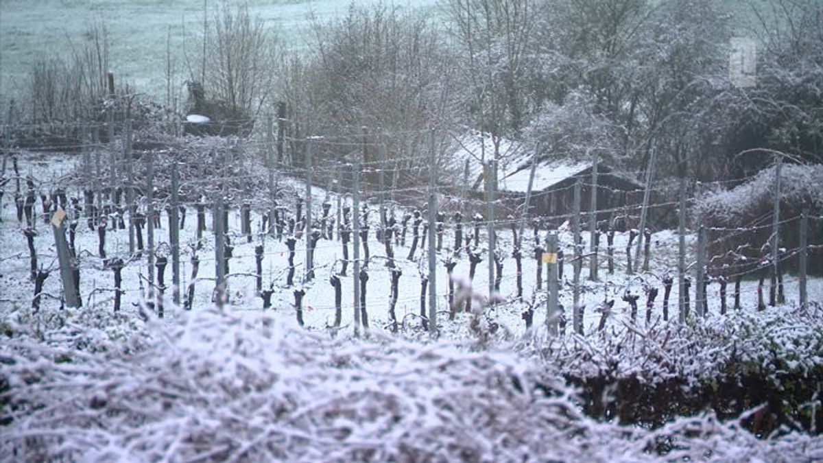 Van zon naar sneeuw in een week tijd: Eijsden-Margraten kleurt wit