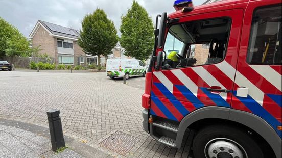 Brandweer redt zwaluw • botsing op A28. Brandweer redt zwaluw • botsing op A28.