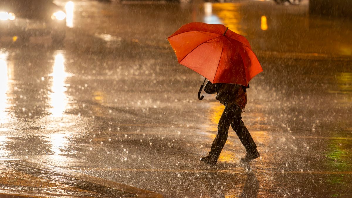 Liveblog storm Benjamin: Geen metro's in Hoek van Holland | Dit moet je doen bij stormschade