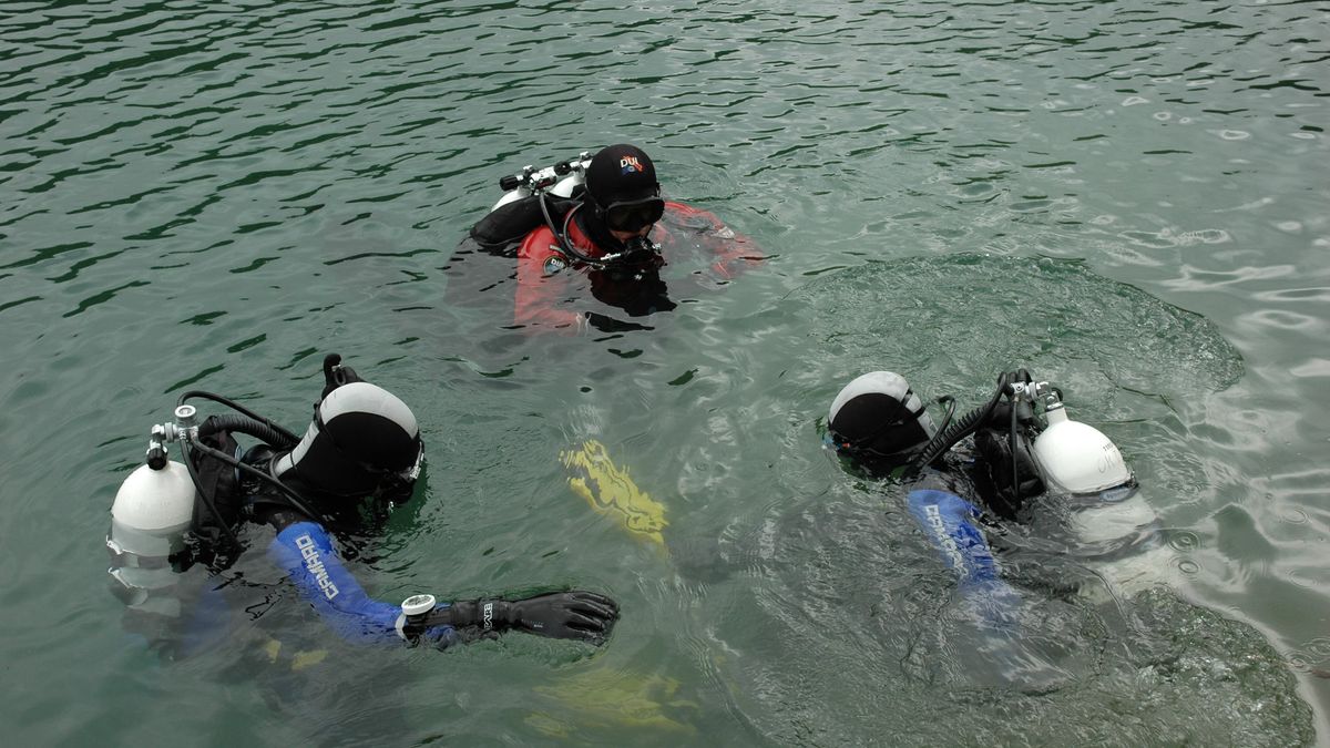 Duikpakken gestolen in Koekange