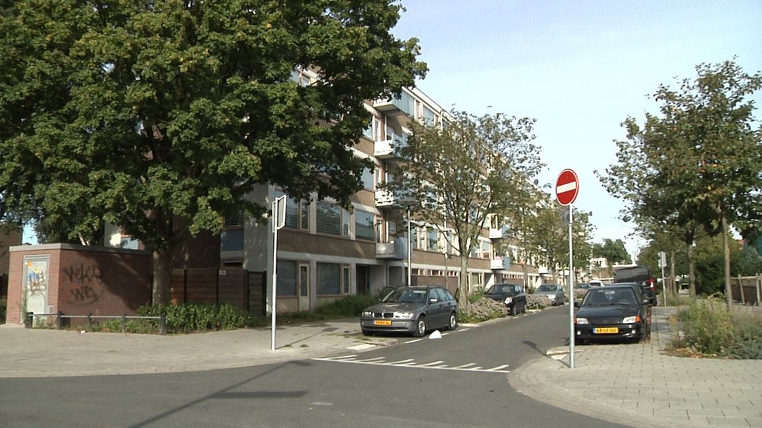 De flat aan de Alexander de Grotelaan in Utrecht