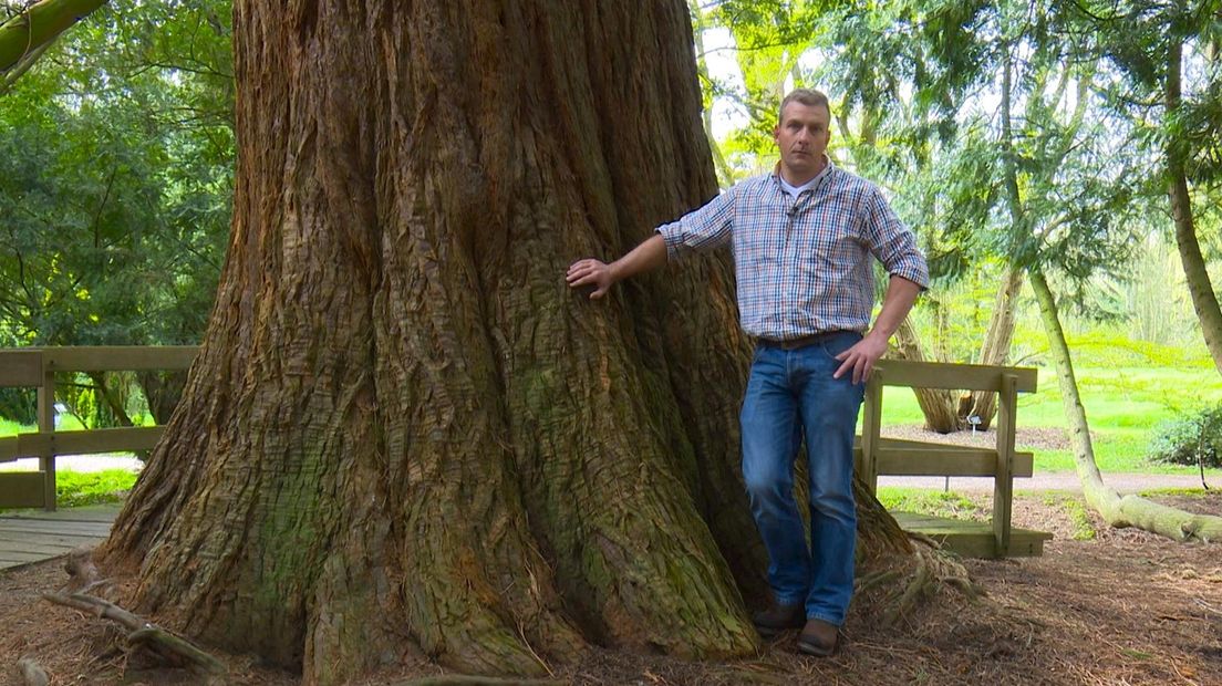 René Nollen draagt het beheer over aan boswachter Jaap in 't Veld