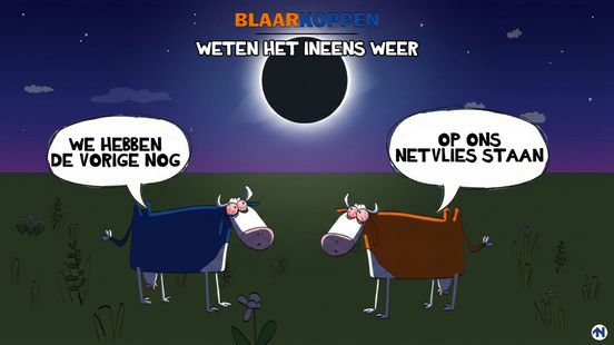 Blaarkoppen zien het opeens weer helder