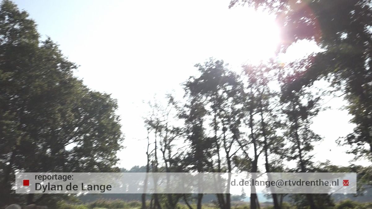 Een kikkerpoel als klaslokaal in Dwingeloo