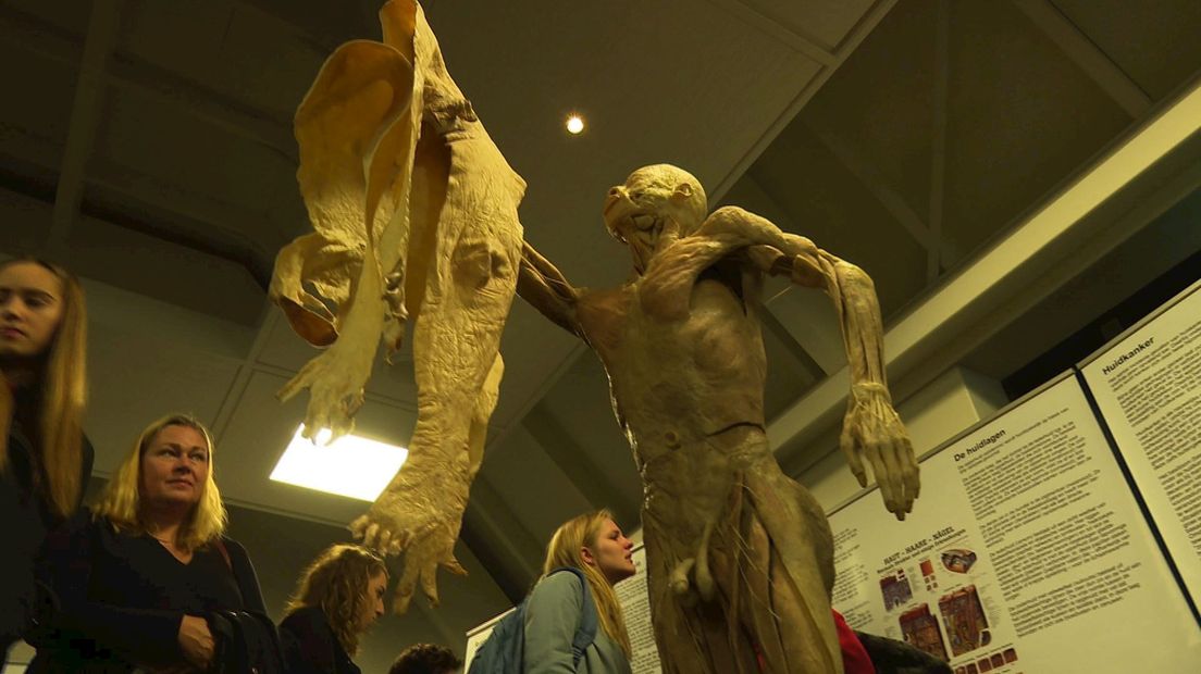 "Bizar en fascinerend", Real Human Bodies in Zwolle