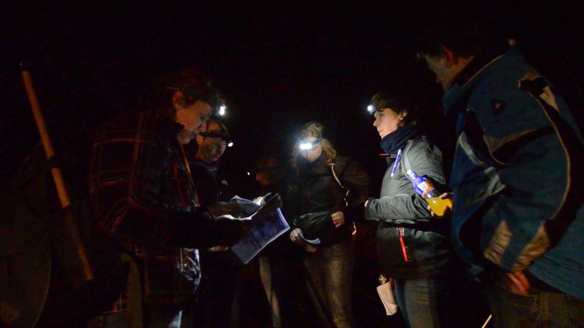 Klimmen en klauteren bij de Junior Wampex in Vledder