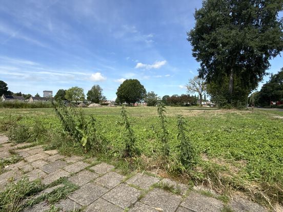 Herbouw huizen aan Aar, Delft en Stroom weer jaar later na gekibbel over kosten