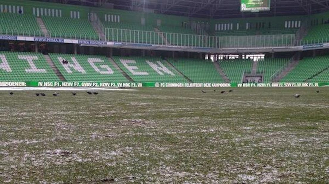 Het veld in De Euroborg