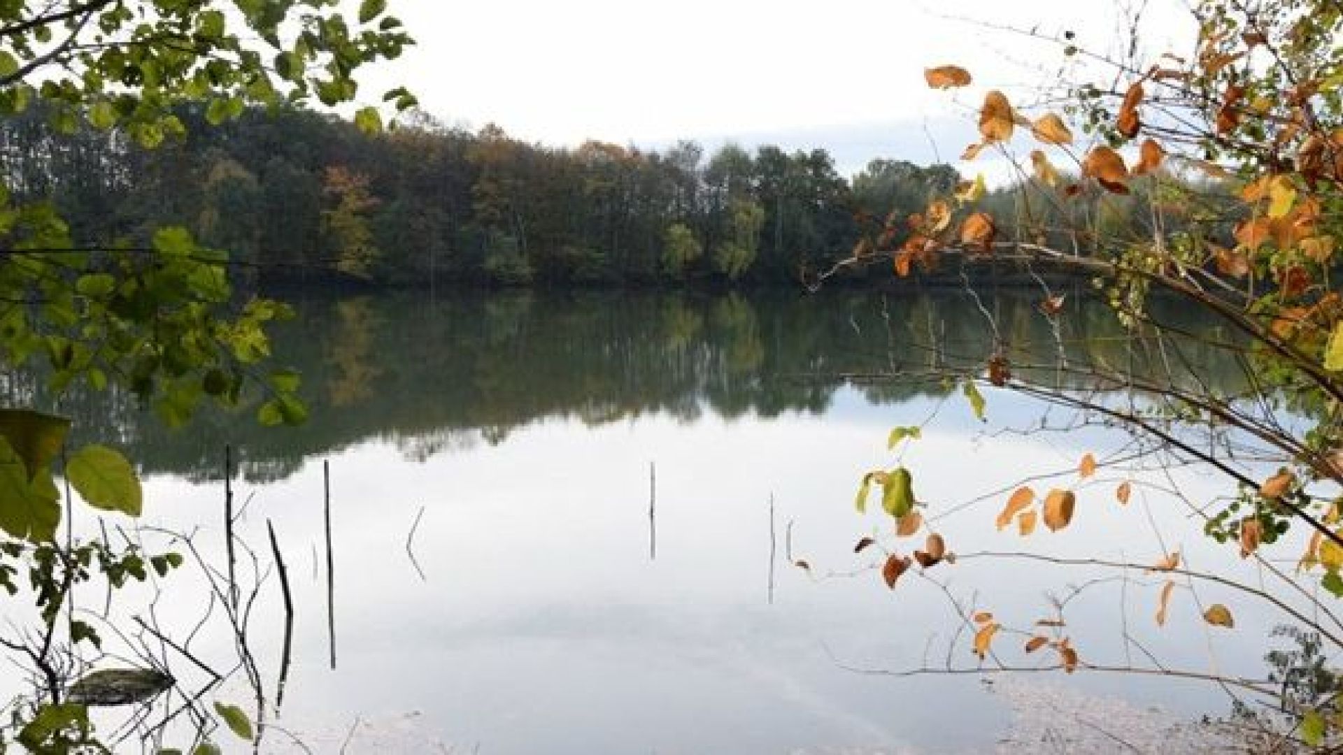 Afronding kleiput Molenveld stap dichterbij.