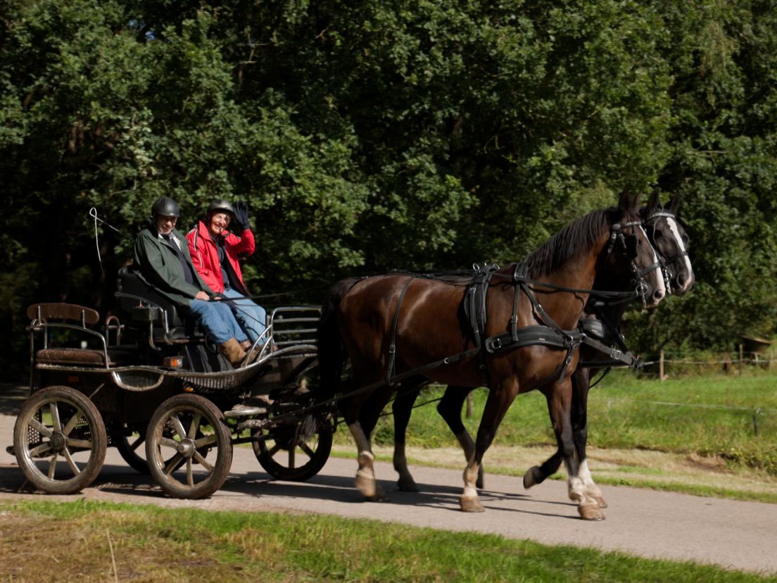 Doek valt voor paardenvierdaagse Zorgvlied: 'Je moet aan steeds meer kleine lettertjes voldoen'