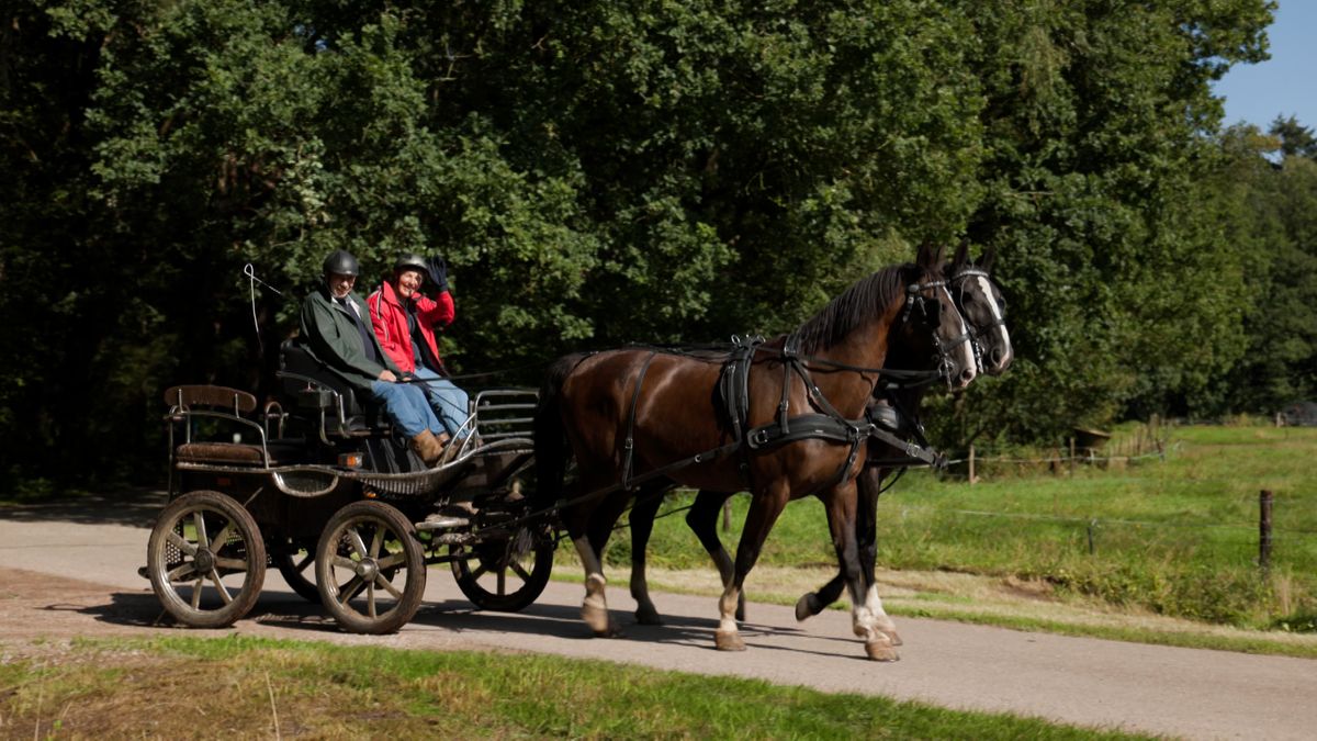 Doek valt voor paardenvierdaagse Zorgvlied: 'Je moet aan steeds meer kleine lettertjes voldoen'