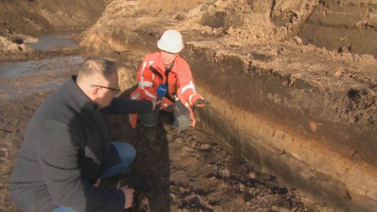 Kippenvel bij de archeologische opgraafplaats in Collendoorn: 